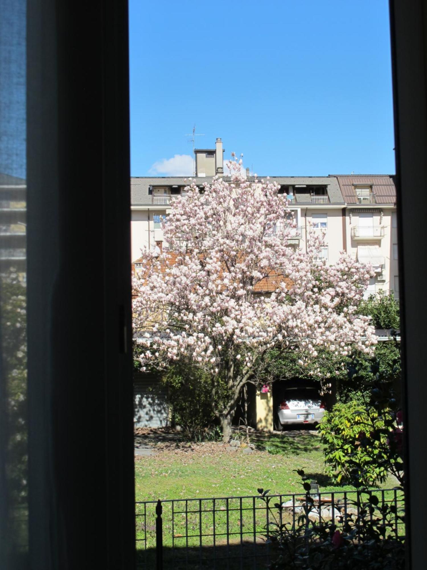 Domus Mea Apartamento Domodossola Exterior foto